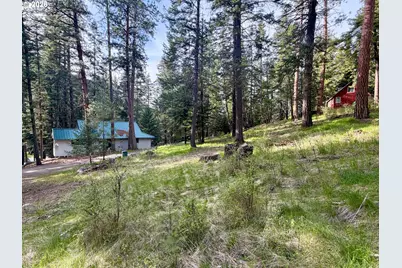 Forest Dell Ave, Wallowa Lake, OR 97846 - Photo 10