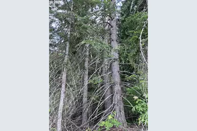 00 Winchester, Appleton, WA 98602 - Photo 12