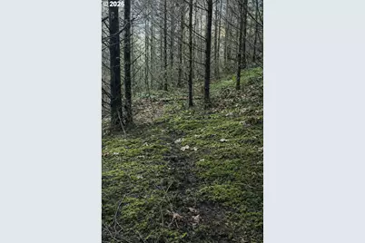 Erickson Rd, Eugene, OR 97402 - Photo 14