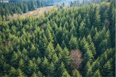 Erickson Rd, Eugene, OR 97402 - Photo 4