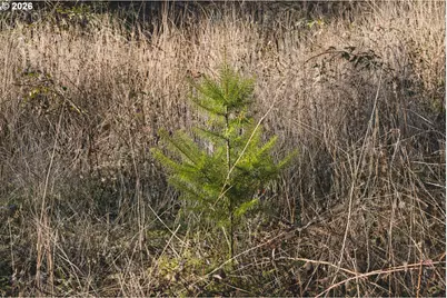 Erickson Rd, Eugene, OR 97402 - Photo 18