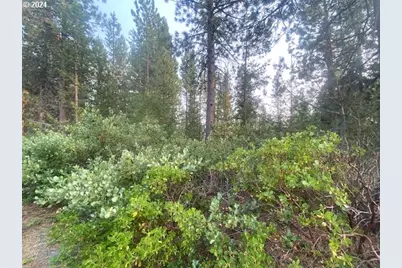 Snow Flake Ct #22, Crescent Lake, OR 97733 - Photo 6