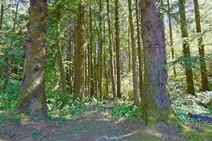 85659 Cherry, Florence, OR 97439 - Photo 24