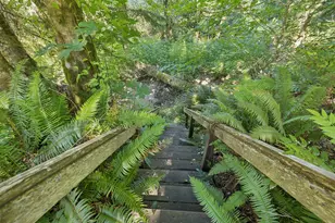 66295 E Crystal Creek Rd, Brightwood, OR 97011 - Photo 40