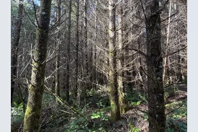 00 SE Wildcat Mountain Dr, Sandy, OR 97055 - Photo 10
