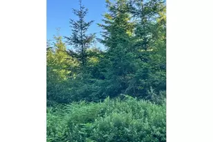 00 SE Wildcat Mountain Dr, Sandy, OR 97055 - Photo 1