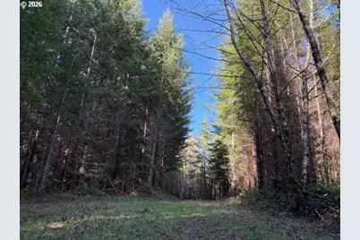 00 SE Wildcat Mountain Dr, Sandy, OR 97055 - Photo 18