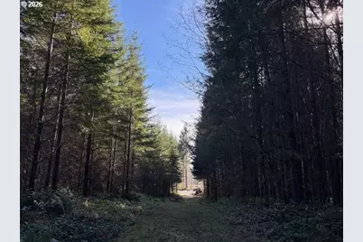 00 SE Wildcat Mountain Dr, Sandy, OR 97055 - Photo 28
