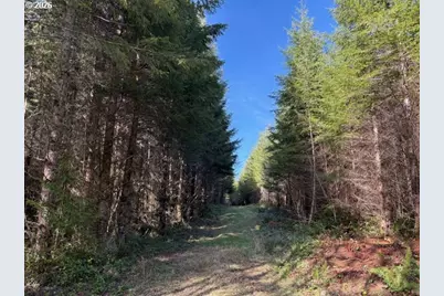 00 SE Wildcat Mountain Dr, Sandy, OR 97055 - Photo 8