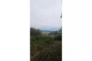 376 10th Ave, Coos Bay, OR 97420 - Photo 8