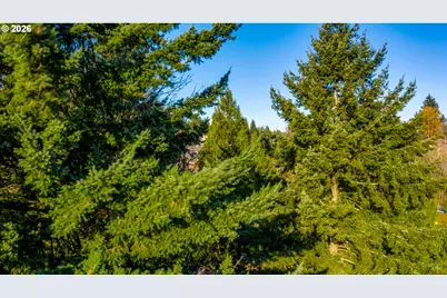 909 SW Gaines St, Portland, OR 97239 - Photo 10