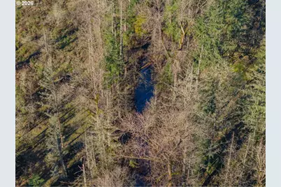 11997 Towers Rd, Stayton, OR 97383 - Photo 34