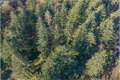 11997 Towers Rd, Stayton, OR 97383 - Photo 28