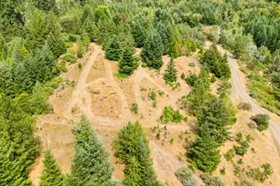 558 Wulff Ln, Roseburg, OR 97471 - Photo 38