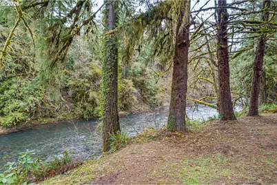 43599 Big Fall Creek Rd, Fall Creek, OR 97438 - Photo 42