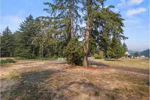 0 Clear Creek Rd, Estacada, OR 97023 - Photo 14