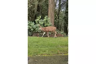 13102 NW 8th Way, Vancouver, WA 98685 - Photo 4