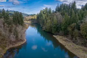 210 Eagle Ct, Woodland, WA 98674 - Photo 46