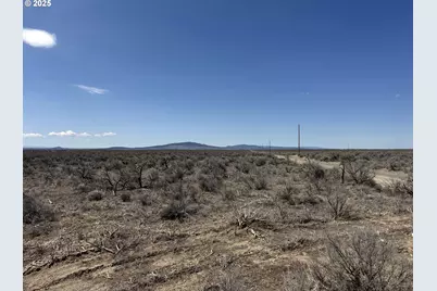 Salt Flat Lane #TL 200, Christmas Valley, OR 97641 - Photo 8