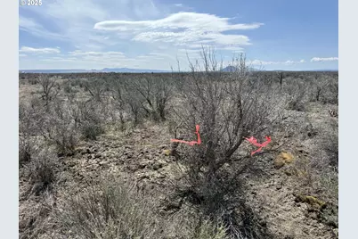 Salt Flat Lane #TL 200, Christmas Valley, OR 97641 - Photo 16