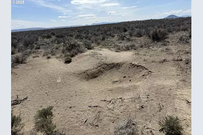Salt Flat Lane #TL 200, Christmas Valley, OR 97641 - Photo 44