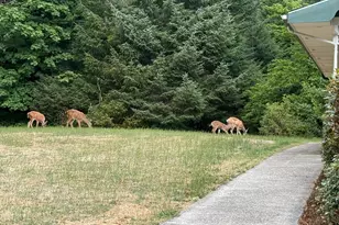 84226 Clear Lake Rd, Florence, OR 97439 - Photo 14