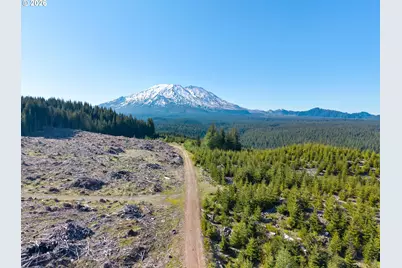 0000 4 Peaks Dr, Cougar, WA 98616 - Photo 8