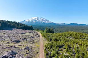 0000 4 Peaks Dr, Cougar, WA 98616 - Photo 8