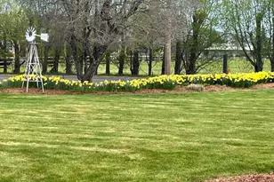 870 Hobbs Rd, Hood River, OR 97031 - Photo 8