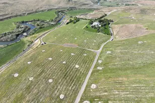 1439 Oasis Rd, Touchet, WA 99360 - Photo 1