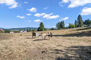 785 Mathis Hill Rd, Yoncalla, OR 97499 - Photo 46