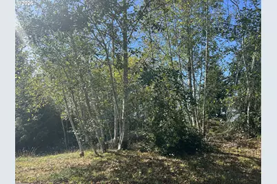 Ocean View Dr #TL07400, Florence, OR 97439 - Photo 12