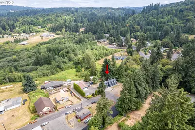 103 Carrolls Ave, Carrolls, WA 98609 - Photo 30