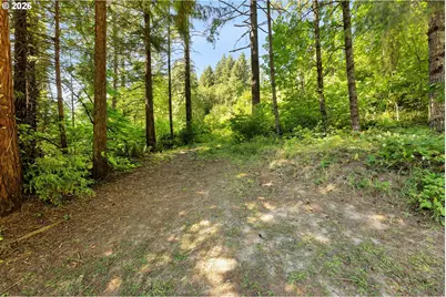 31451 Dutch Canyon Rd, Scappoose, OR 97056 - Photo 36