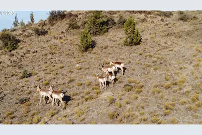 33817 Gage Rd, Mitchell, OR 97750 - Photo 48