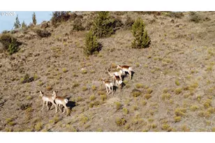 33817 Gage Rd, Mitchell, OR 97750 - Photo 48