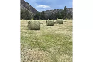 33817 Gage Rd, Mitchell, OR 97750 - Photo 44