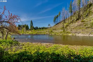 91082 Leashore Dr, Vida, OR 97488 - Photo 46