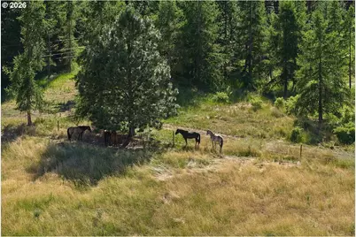 77846 Caudle Ln, Lostine, OR 97857 - Photo 24