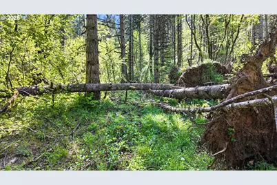 71st St, Springfield, OR 97478 - Photo 34