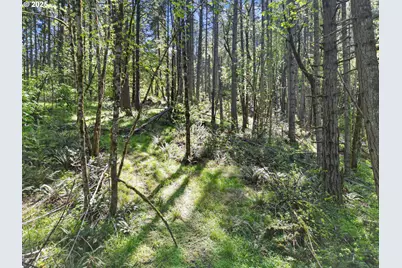 71st St, Springfield, OR 97478 - Photo 6