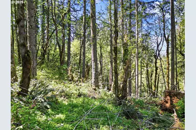 71st St, Springfield, OR 97478 - Photo 24