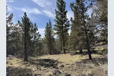 Off Hwy 140 #900, Beatty, OR 97621 - Photo 4