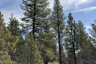 Off Hwy 140, Beatty, OR 97621 - Photo 1