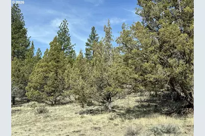 Off Hwy 140 #900, Beatty, OR 97621 - Photo 2