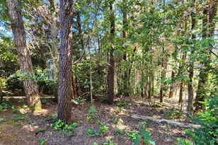 1230 Deady St, Port Orford, OR 97465 - Photo 42