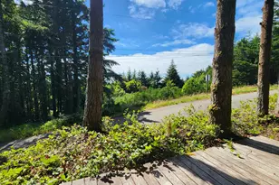 1230 Deady St, Port Orford, OR 97465 - Photo 40