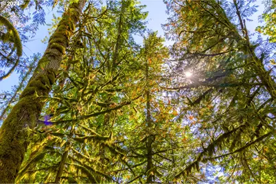 58200 E Marmot Rd, Sandy, OR 97055 - Photo 14