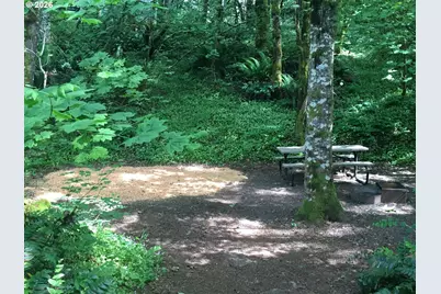 112 Bylin Rd, Stevenson, WA 98648 - Photo 26