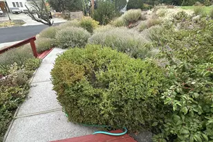 235 Rock St, Heppner, OR 97836 - Photo 4